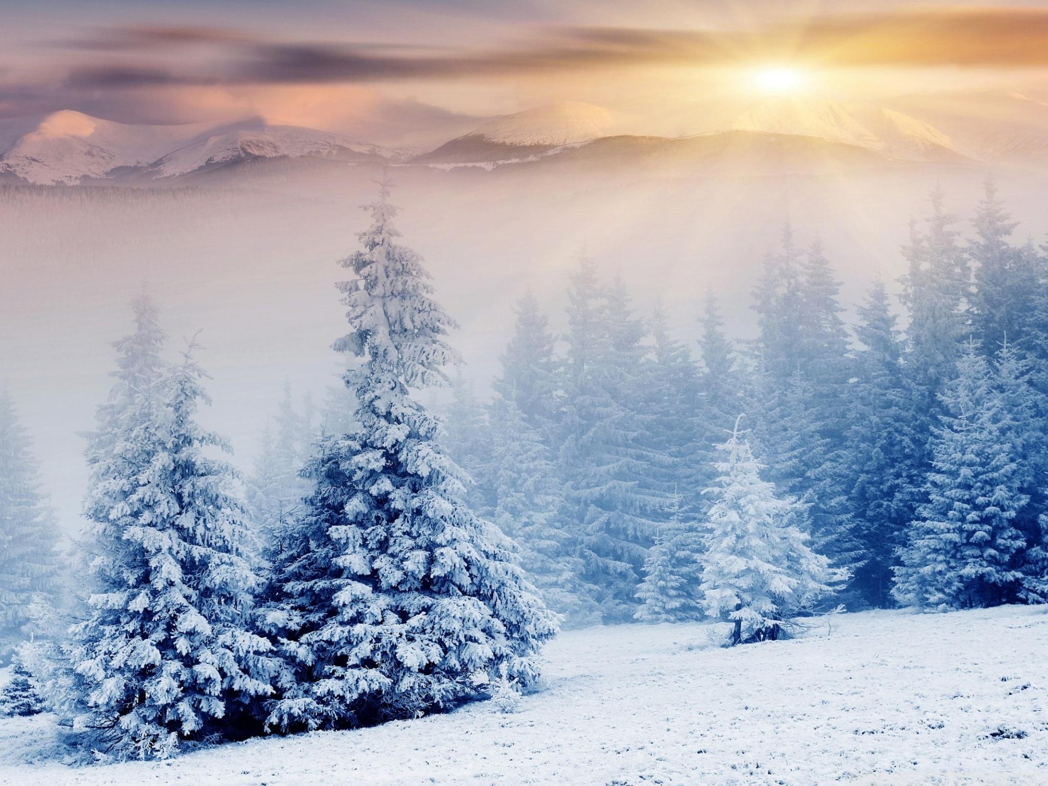 2048x1536 Winter Wonderland Ultra HD Desktop Background Wallpaper for 4K UHD TV : Multi Display, Dual Monitor : Tablet