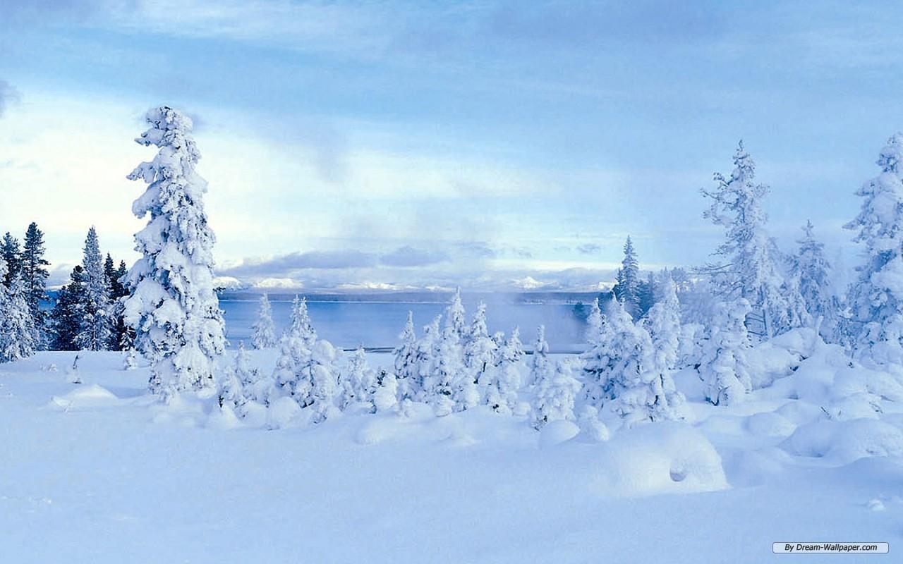 1280x800 Free download Winter Wonderland Wallpaper 7758 HD Wallpaper in Nature Imageci [1280x800] for your Desktop, Mobile & Tablet. Explore Winter Wonderland Wallpaper Image. Beautiful Winter Wonderland Wallpaper, Winter Wonderland