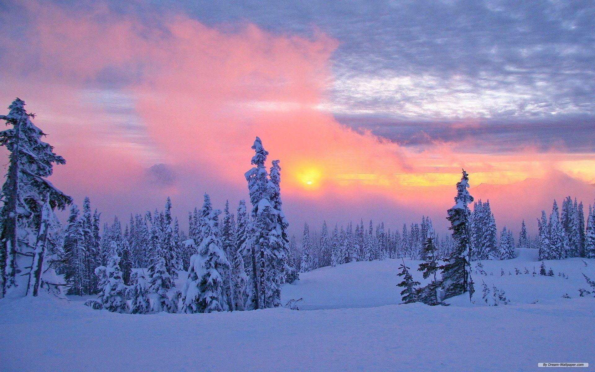 1920x1200 Winter Wonderland Desktop Background