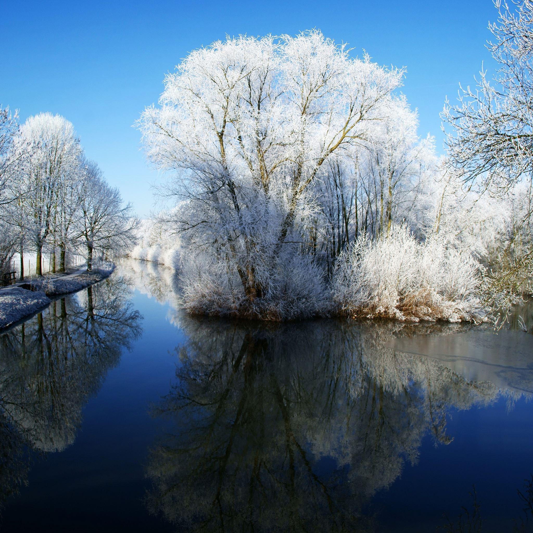 2048x2048 Winter Wonderland iPad Air Wallpaper Free Download