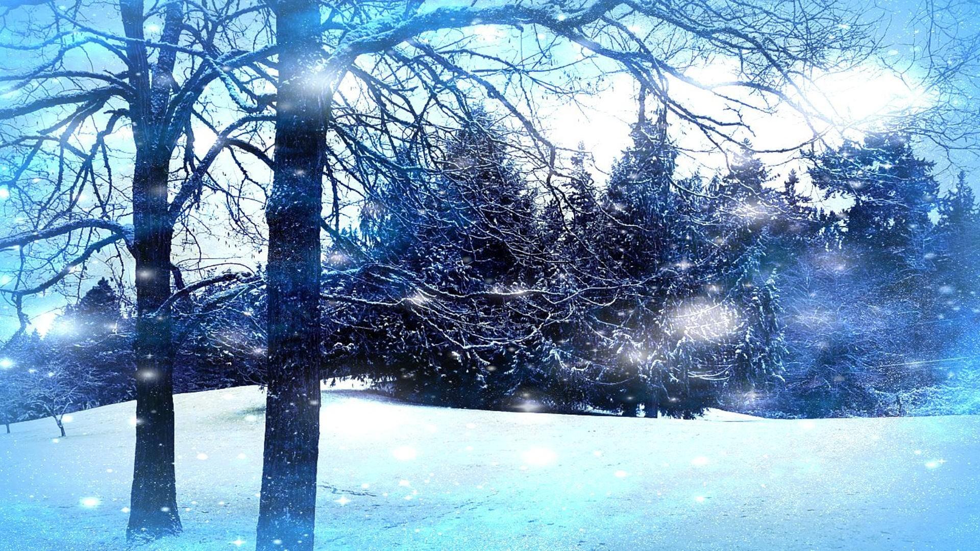 1920x1080 Winter Wonderland Wallpaper