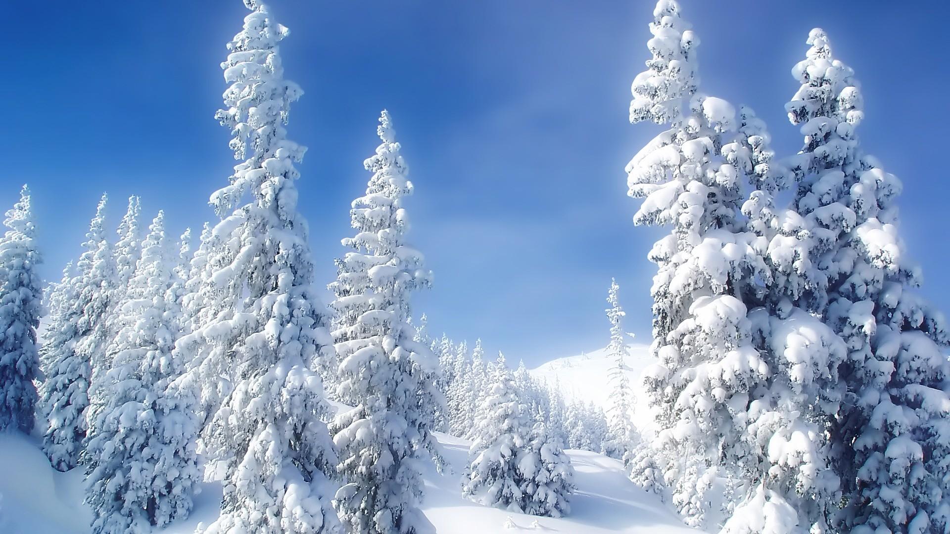 1920x1080 Winter Wonderland Wallpaper