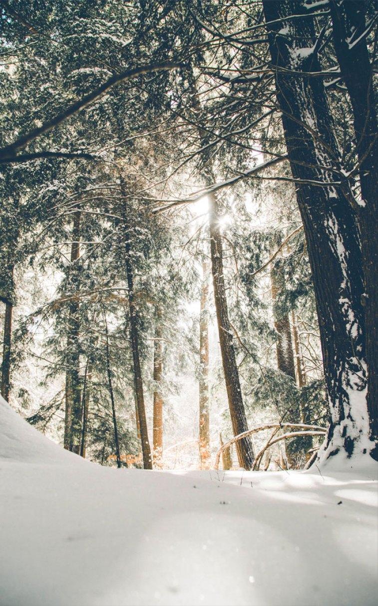757x1214 Beautiful winter wonderland Wallpaper