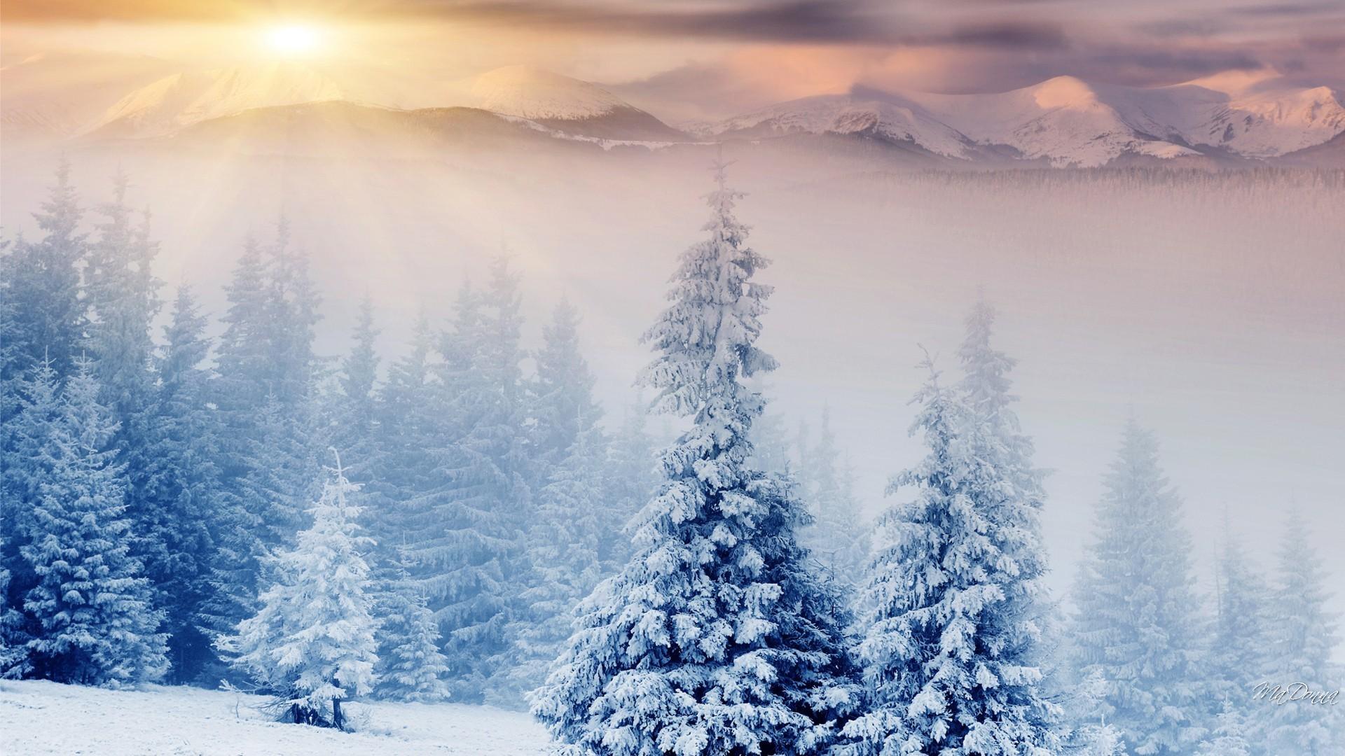 1920x1080 Winter Wonderland Desktop Background