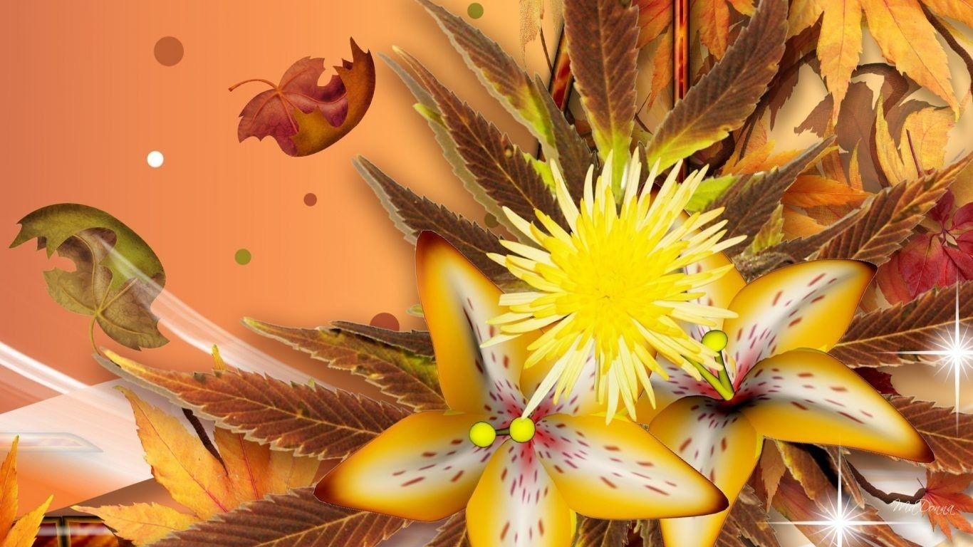 1366x768 Lovely Flowers Chrysanthemum Pink Beautiful Flower Desktop