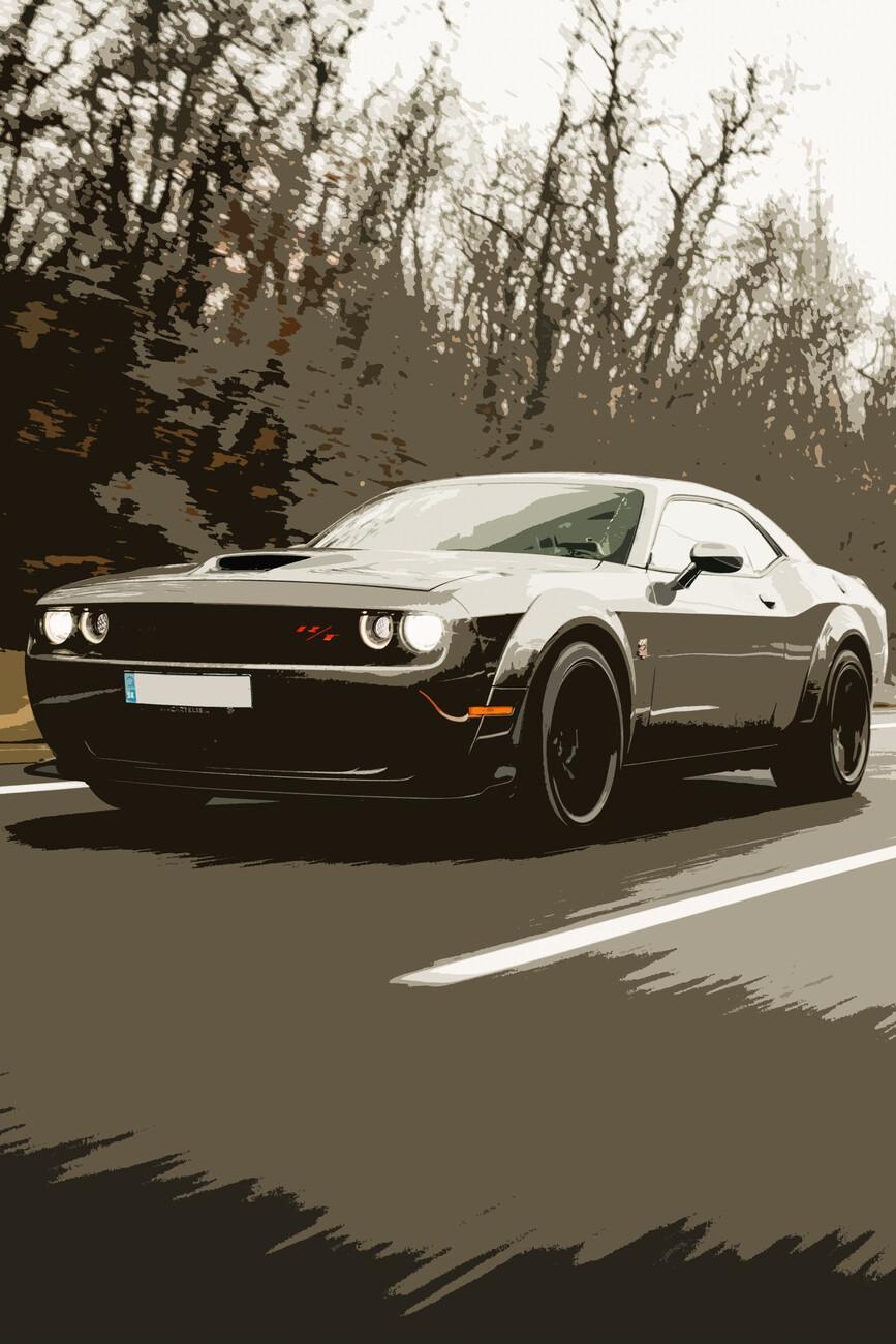 867x1300 Car Illustration Wallpaper