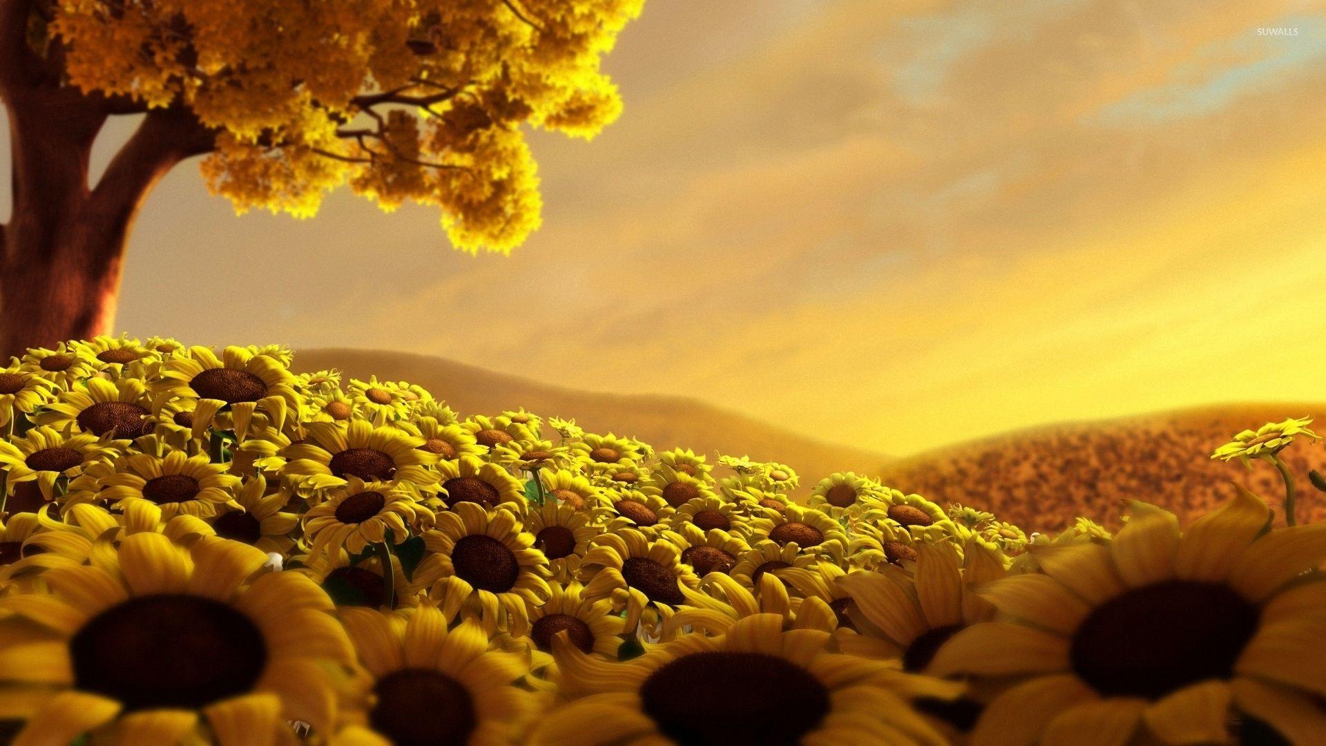 1920x1080 autumn sunflower desktop wallpaper
