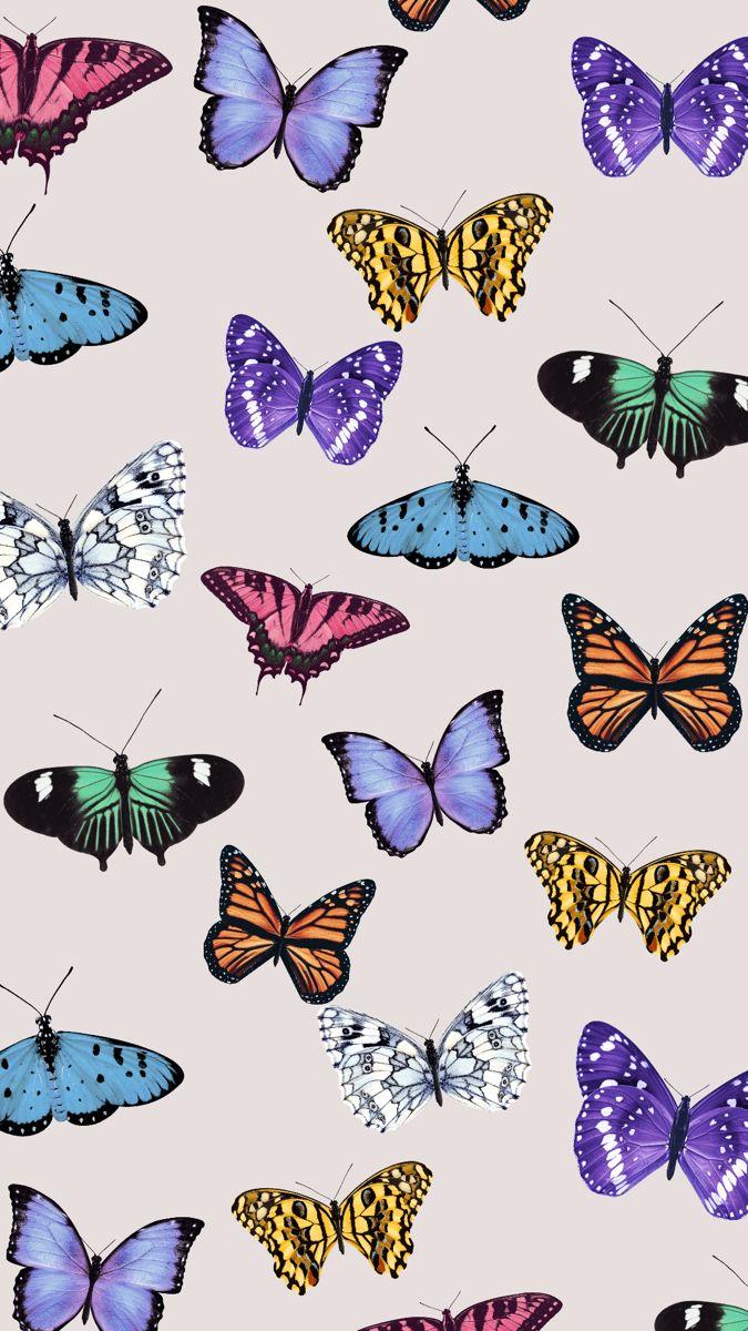 675x1200 Tutorial: Aesthetic Butterfly Wallpaper. Butterfly wallpaper, Simple iphone wallpaper, Butterfly wallpaper iphone
