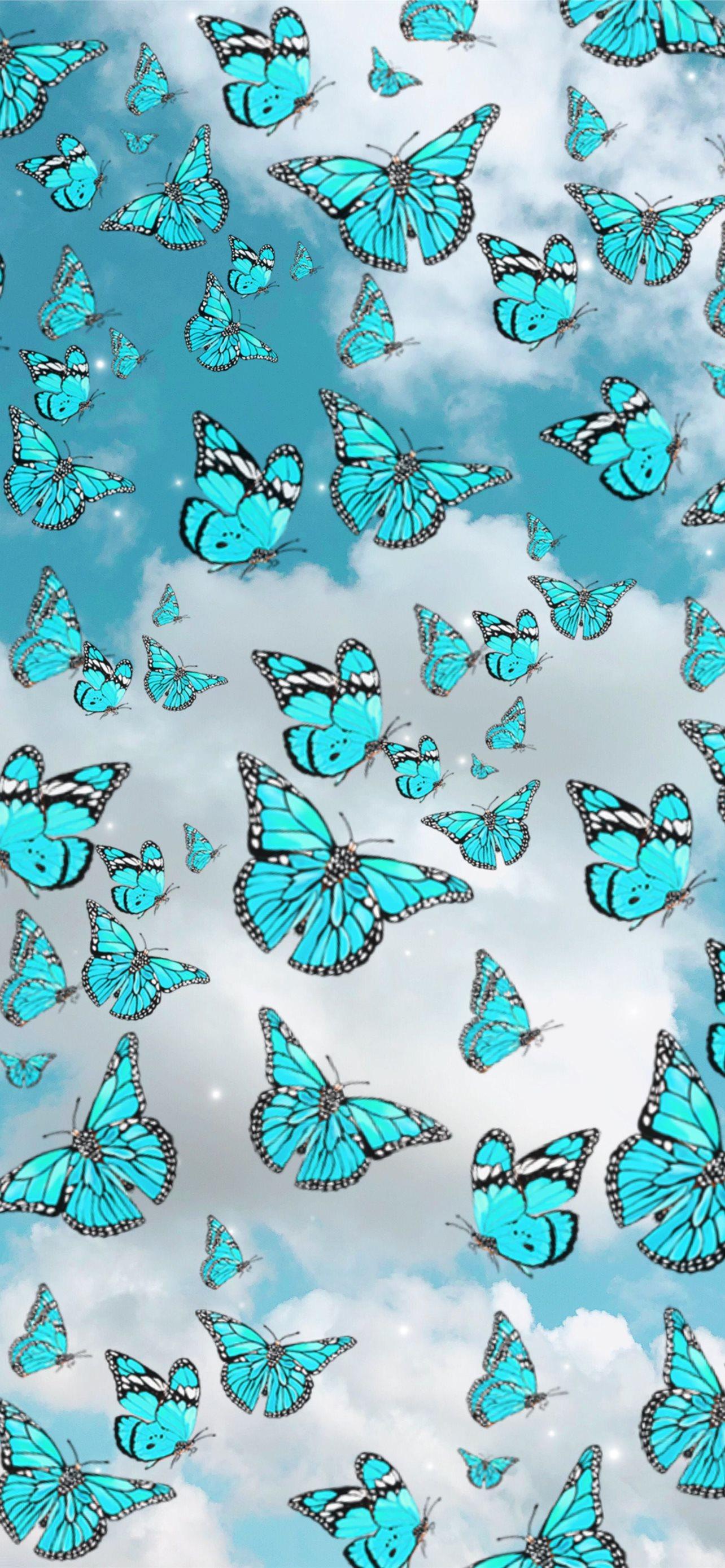 1284x2778 Latest Butterfly iPhone HD Wallpaper