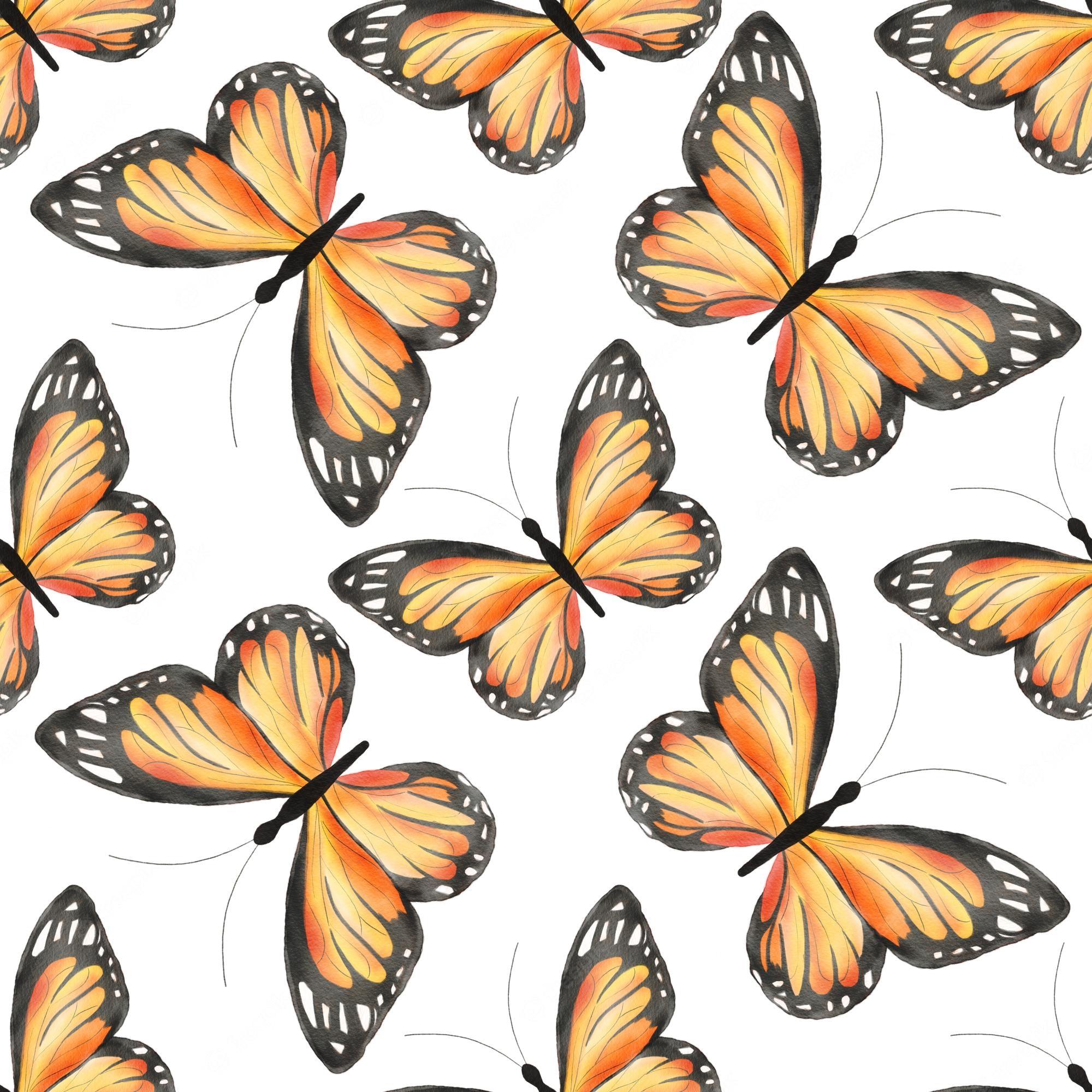 2000x2000 Monarch Butterfly Pattern Image. Free Vectors, & PSD