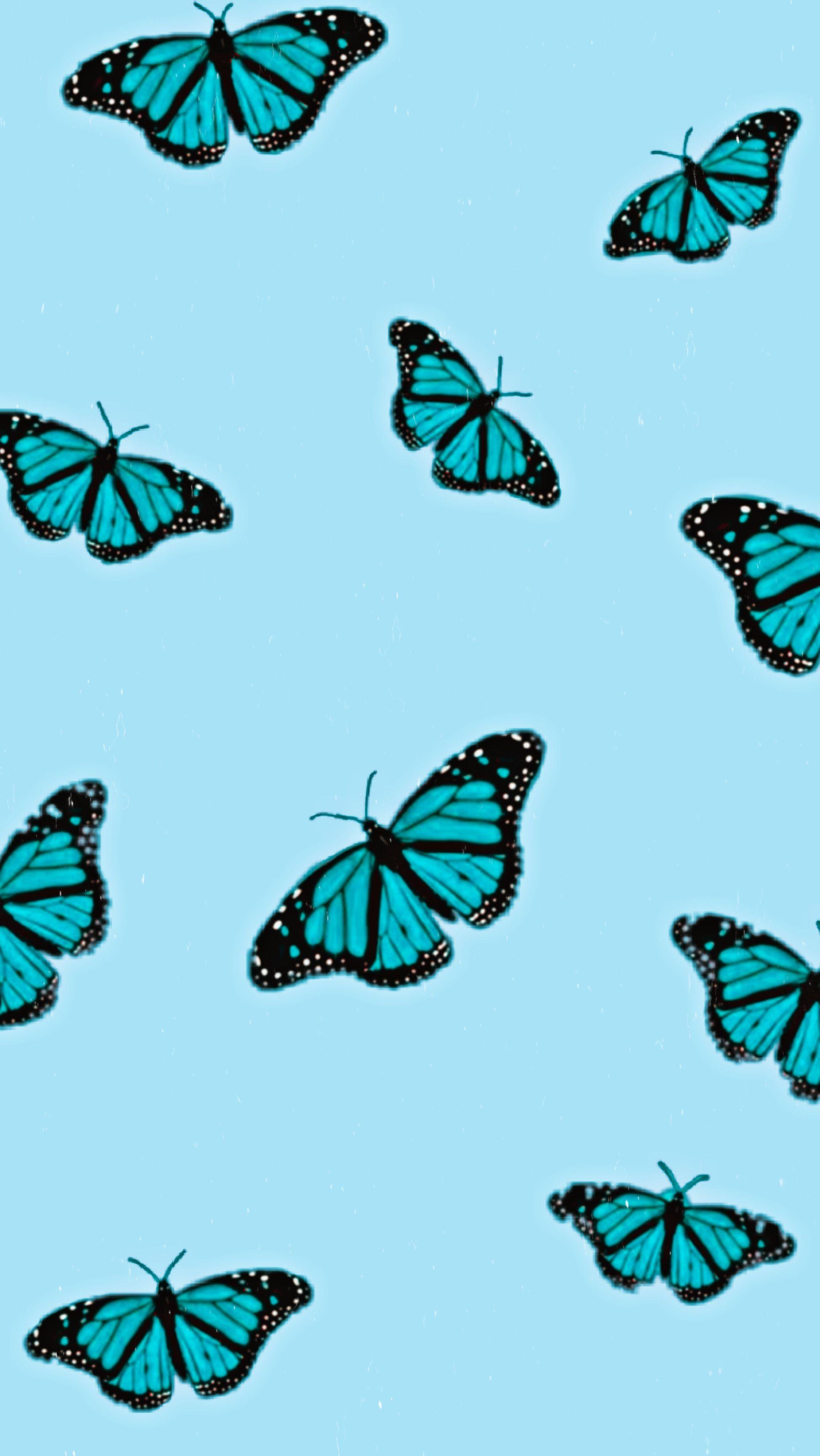 1949x3463 Blue Aesthetic Butterfly Wallpaper #MadeWithPicsArt. Beautiful wallpaper background, Watercolor wallpaper iphone, Flowers photography wallpaper
