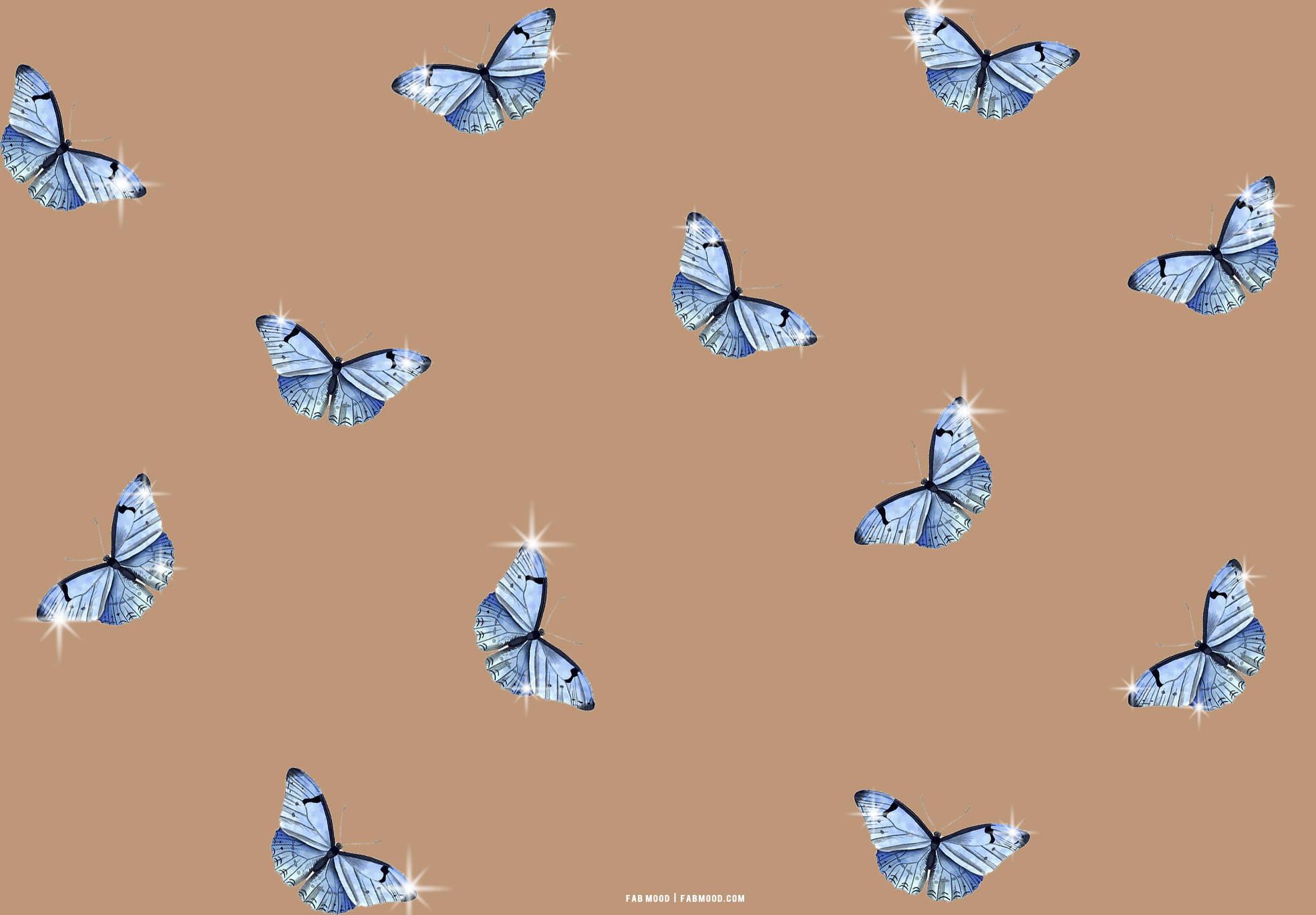 1970x1370 Butterfly Wallpaper & Background For FREE