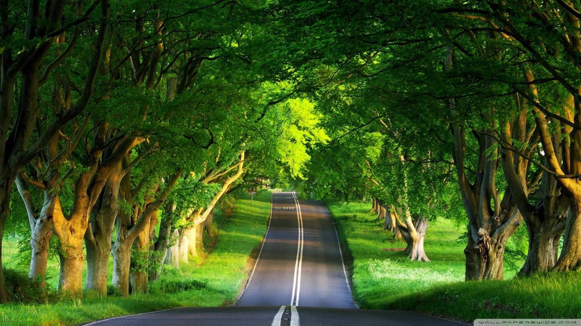 1920x1080 HD Wallpaper Nature 1080p