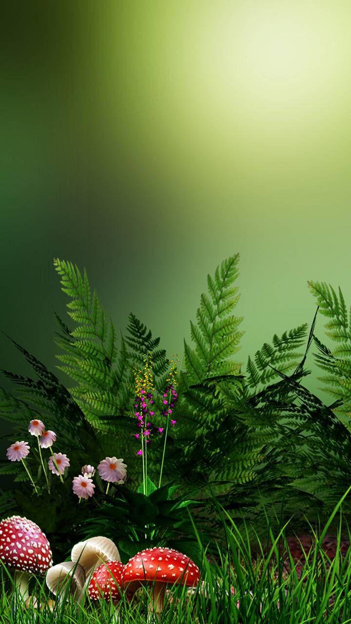 720x1280 green nature wallpaper by dathys. da93. Green nature wallpaper, Best nature wallpaper, Nature wallpaper
