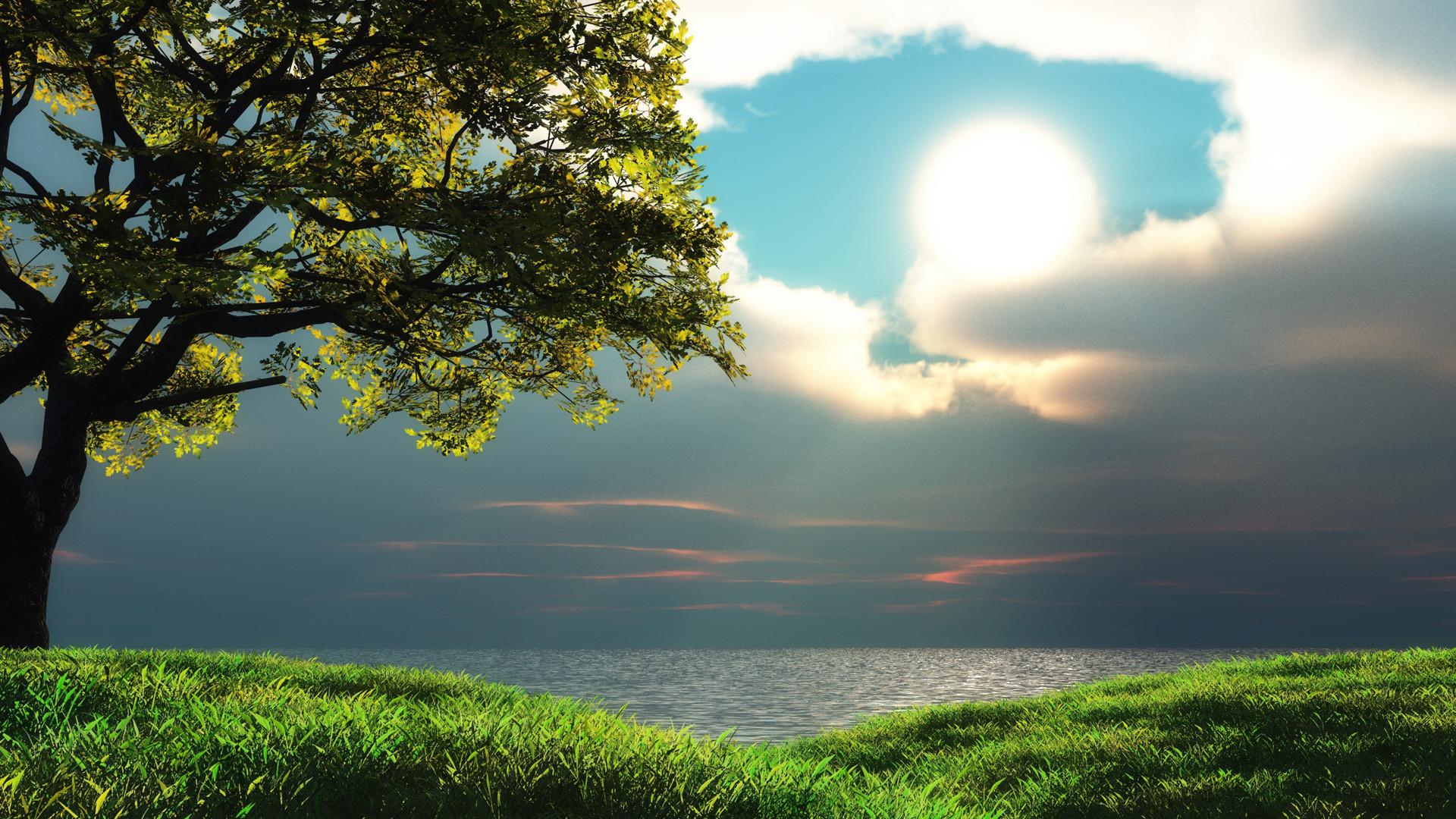 1920x1080 Nature Background HD