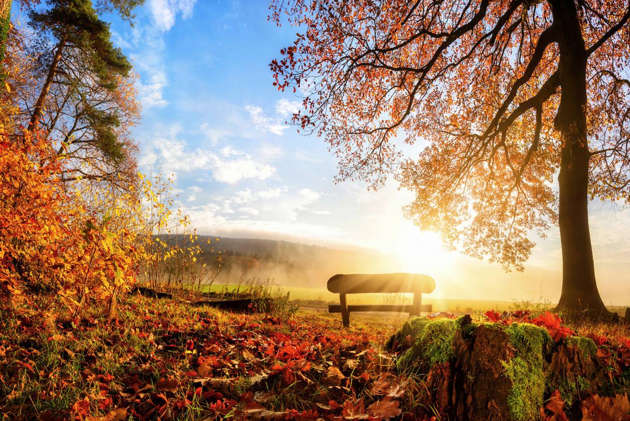 Autumn Morning Wallpapers - Top Free Autumn Morning Backgrounds