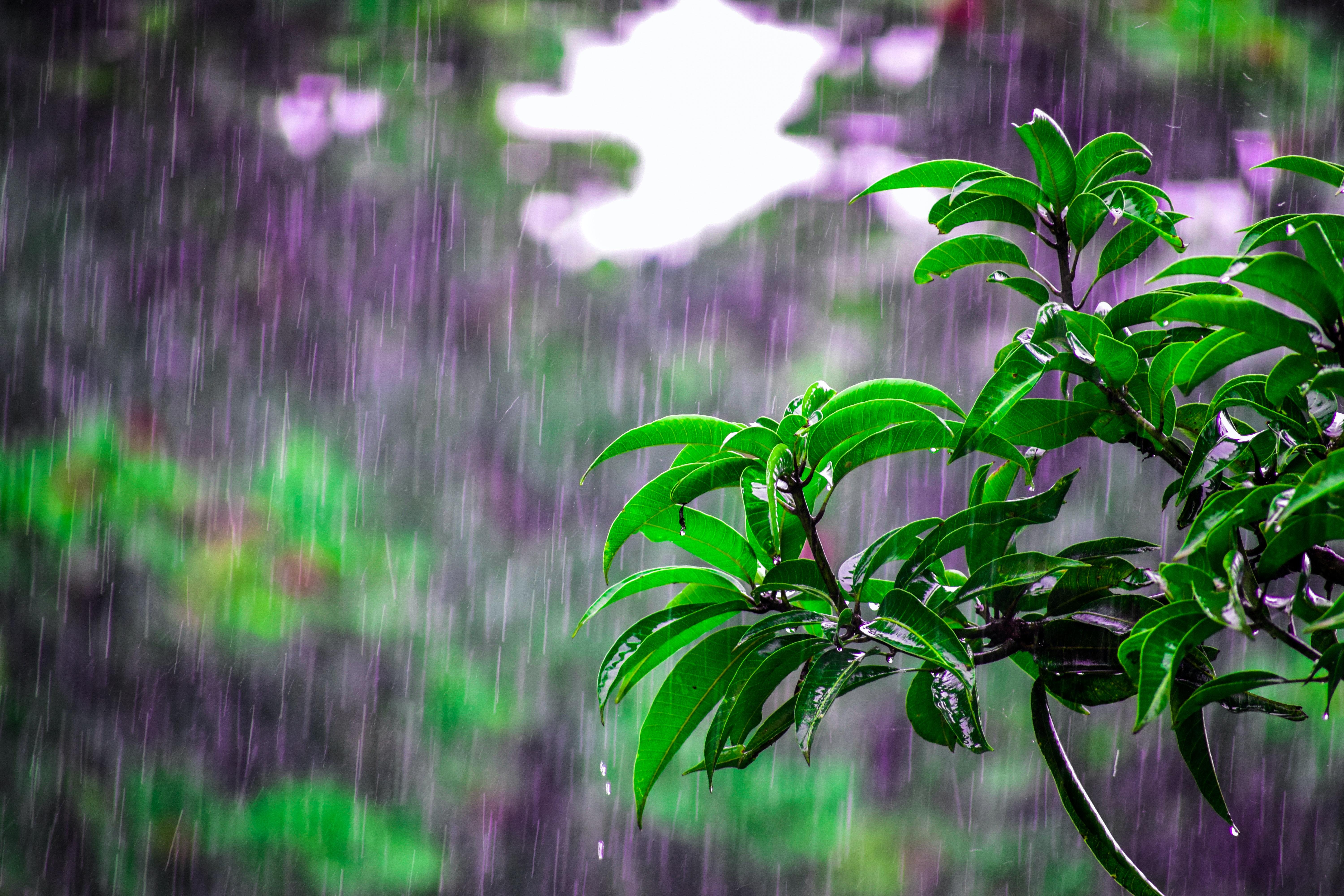 6000x4000 Rainy Day Photo, Download Free Rainy Day & HD Image