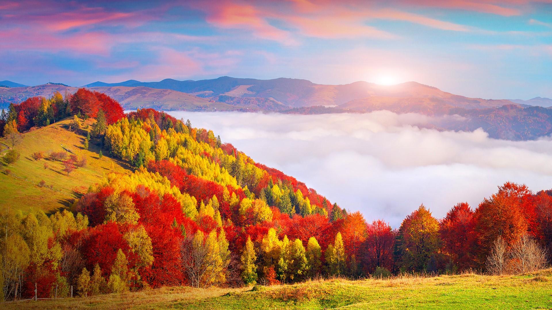 Autumn Morning Wallpapers - Top Free Autumn Morning Backgrounds ...