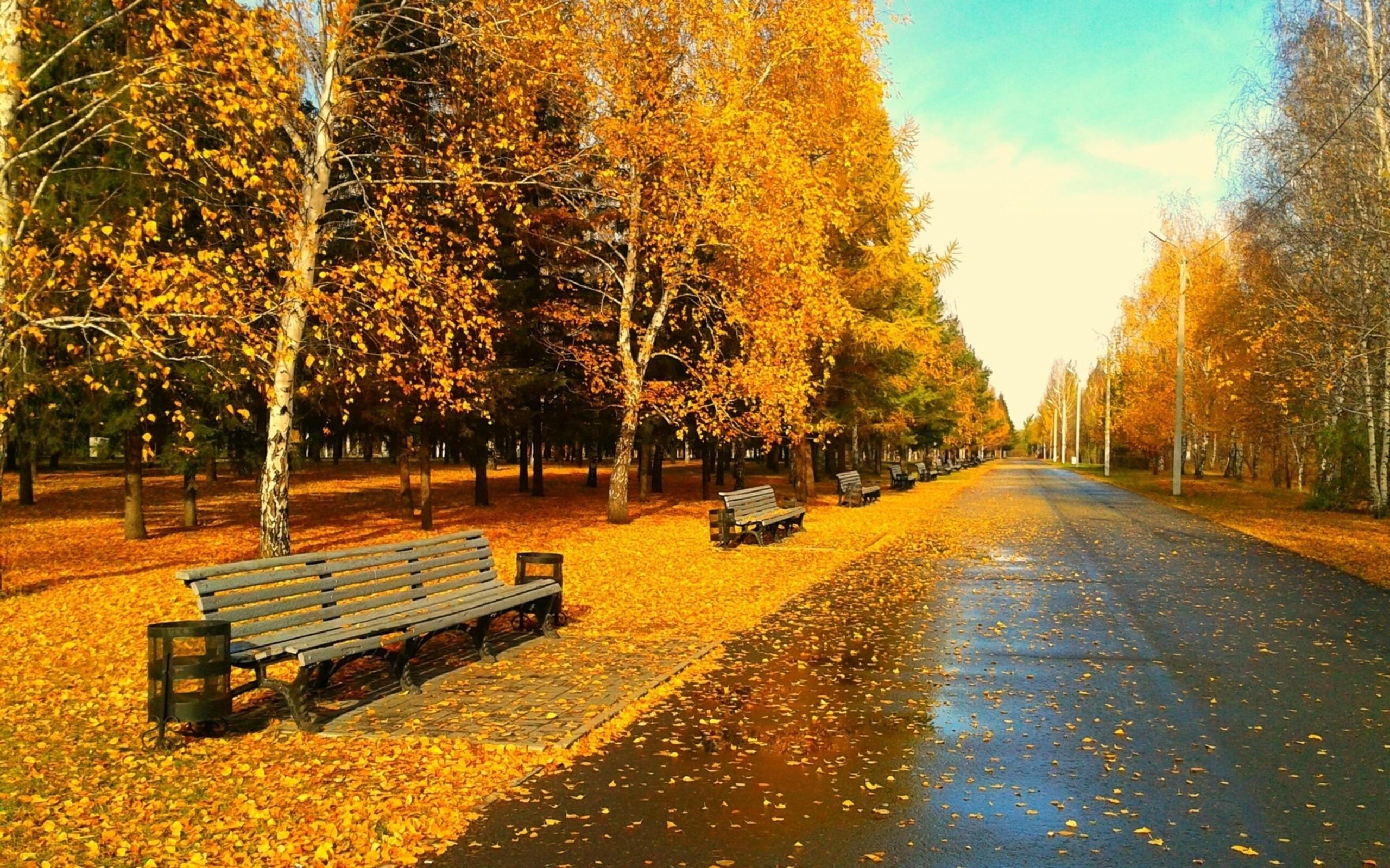 2560x1600 Sunny Autumn Day wallpaper. Sunny Autumn Day