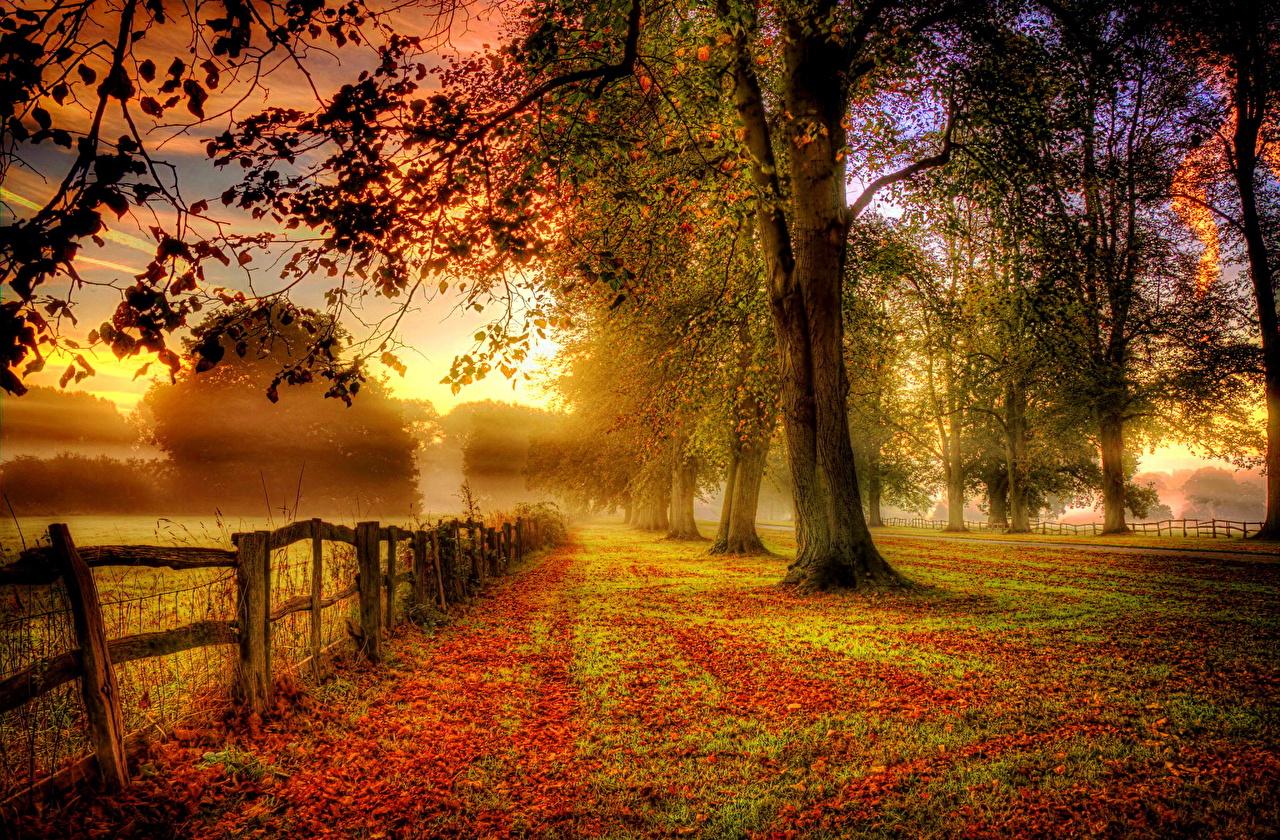Autumn Morning Wallpapers - Top Free Autumn Morning Backgrounds