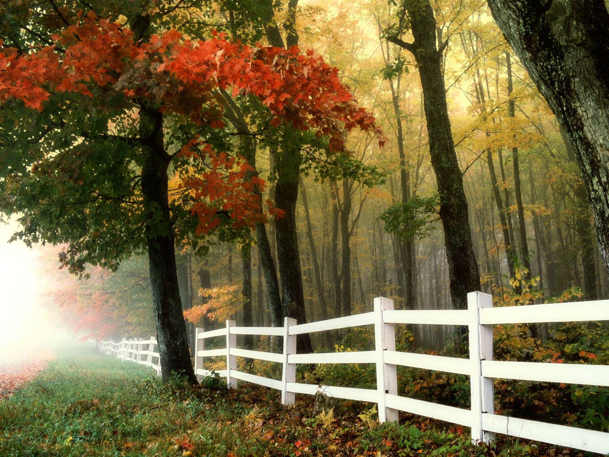 Autumn Morning Wallpapers - Top Free Autumn Morning Backgrounds