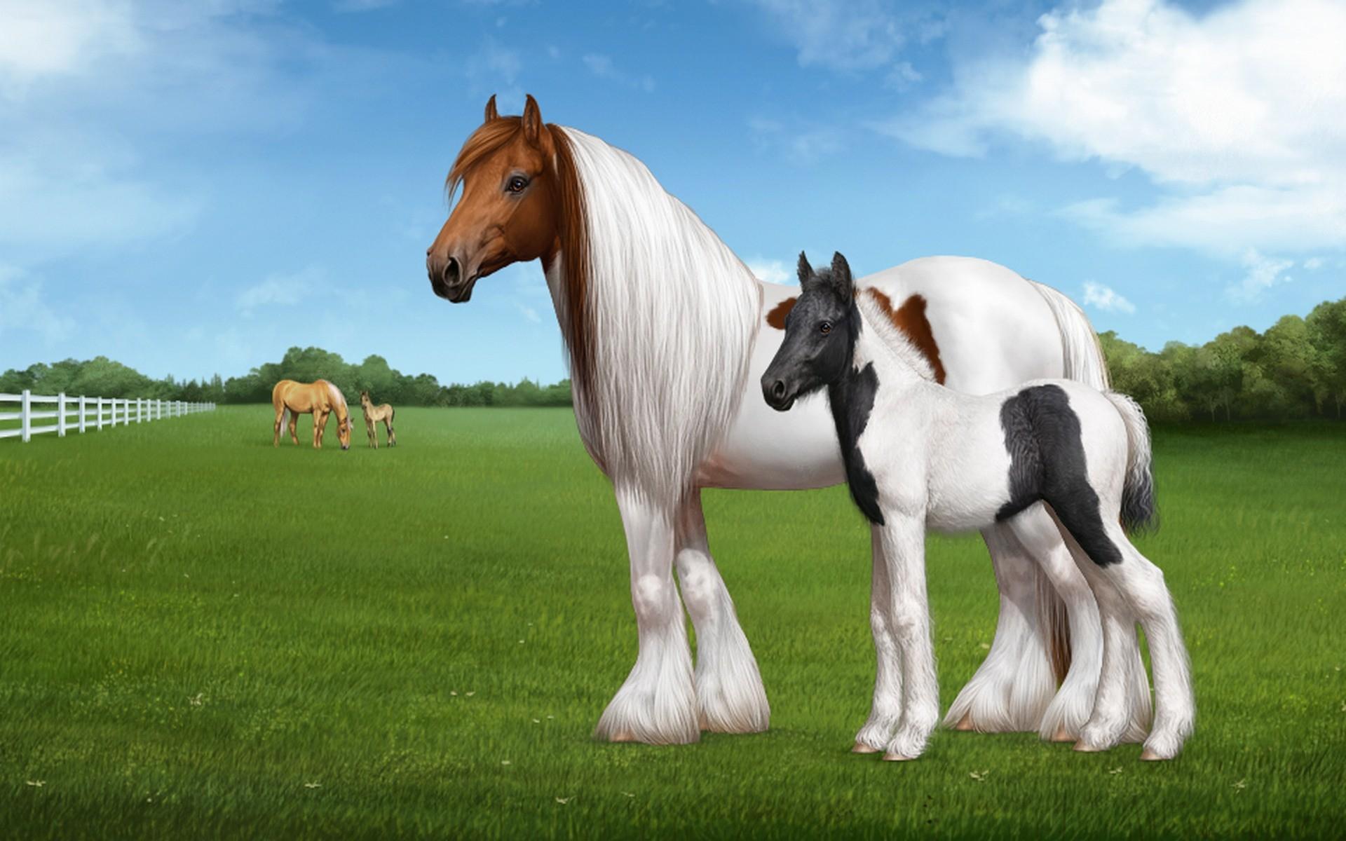 1920x1200 Horses Wallpaper