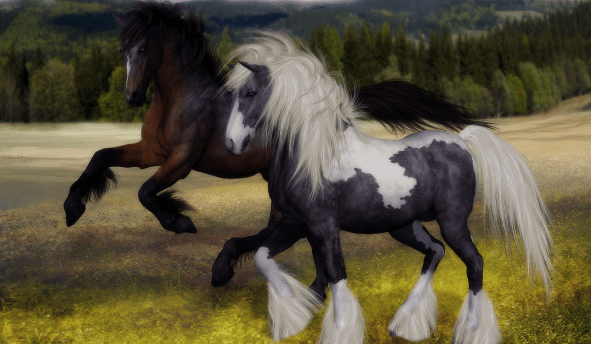 1200x700 Best Horse Breeds For Beginners