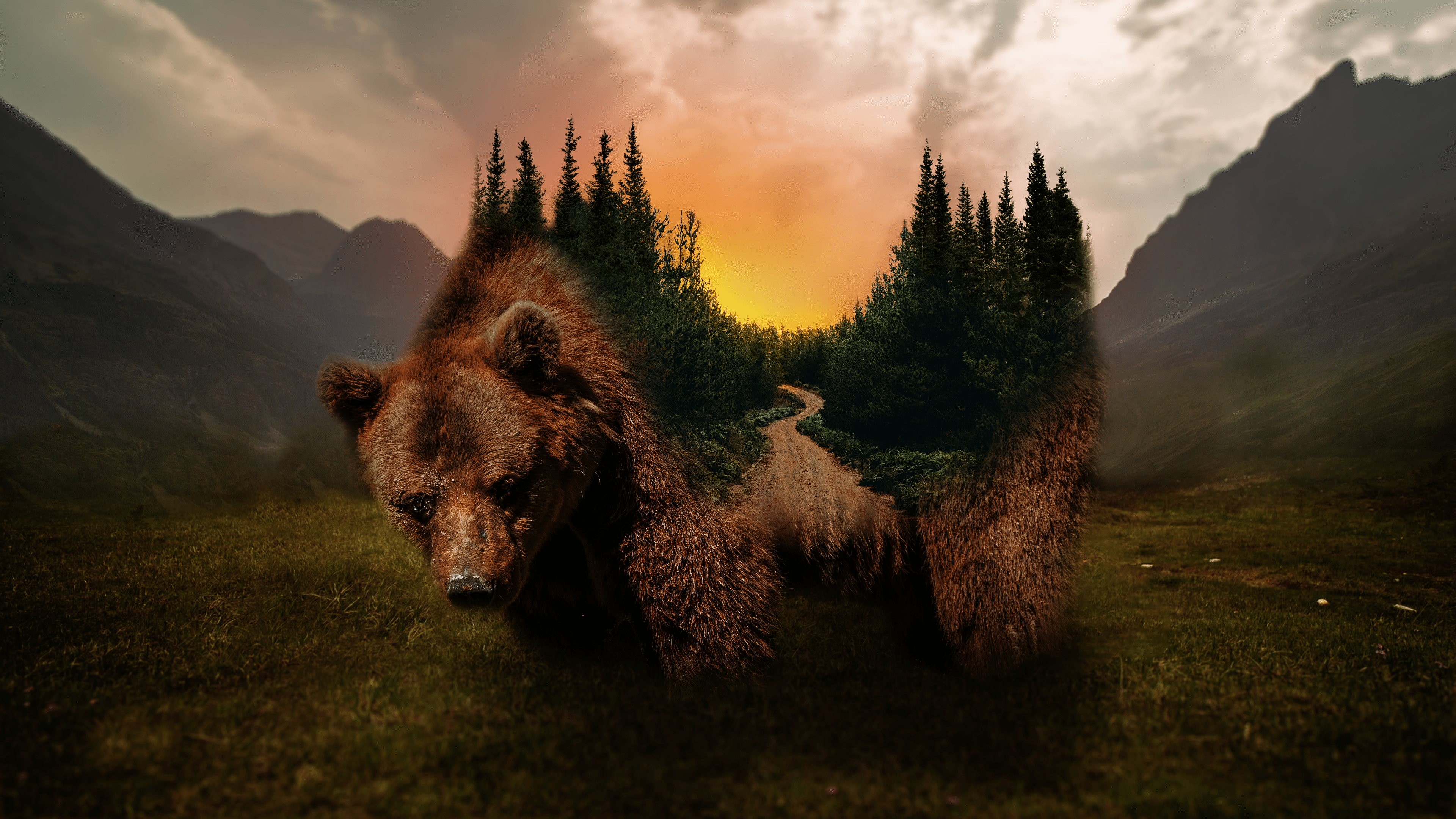 3840x2160 Wallpaper / Grizzly bear, forest, sunset, nature, digital art free download