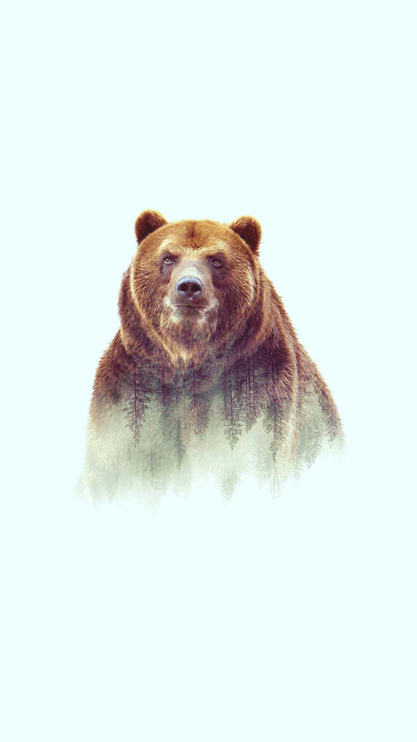 1440x2560 Grizzly Bear Art IPhone Wallpaper Wallpaper : iPhone Wallpaper