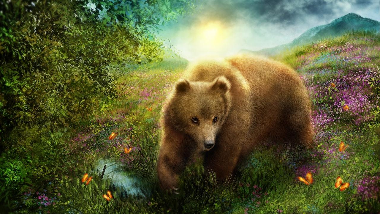 1280x720 Picture Brown Bears bear animal Painting Art