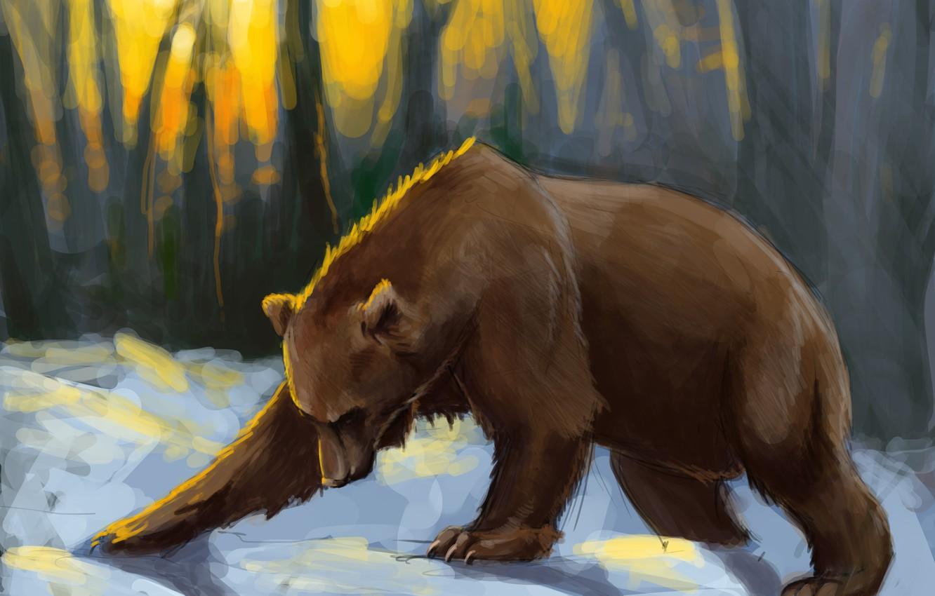 1332x850 Wallpaper forest, snow, sunset, bear, art, the sun's rays, Brown bear image for desktop, section живопись