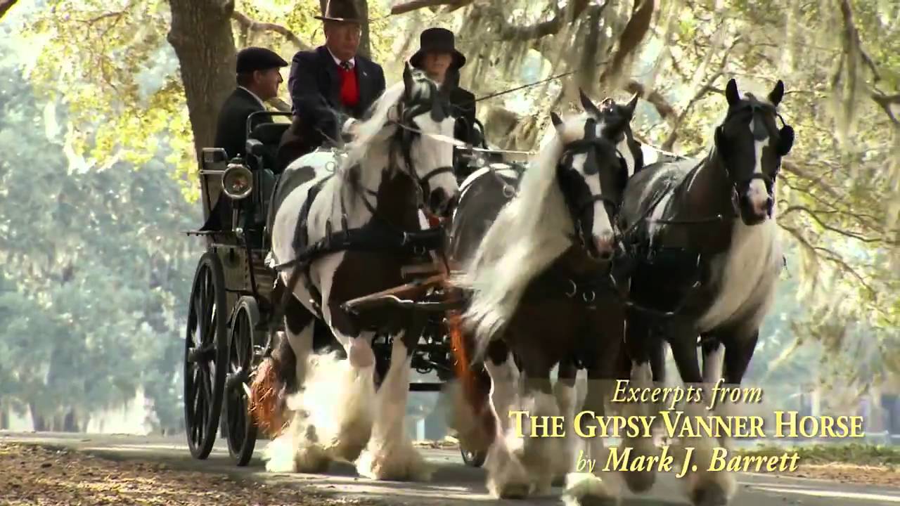 1280x720 The Gypsy Vanner Horse documentary by Mark & Jackie Barrett