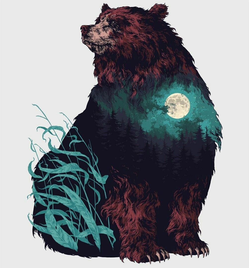 1003x1080 Referências Paulo Roberto. Bear art, Animal art, Art drawings