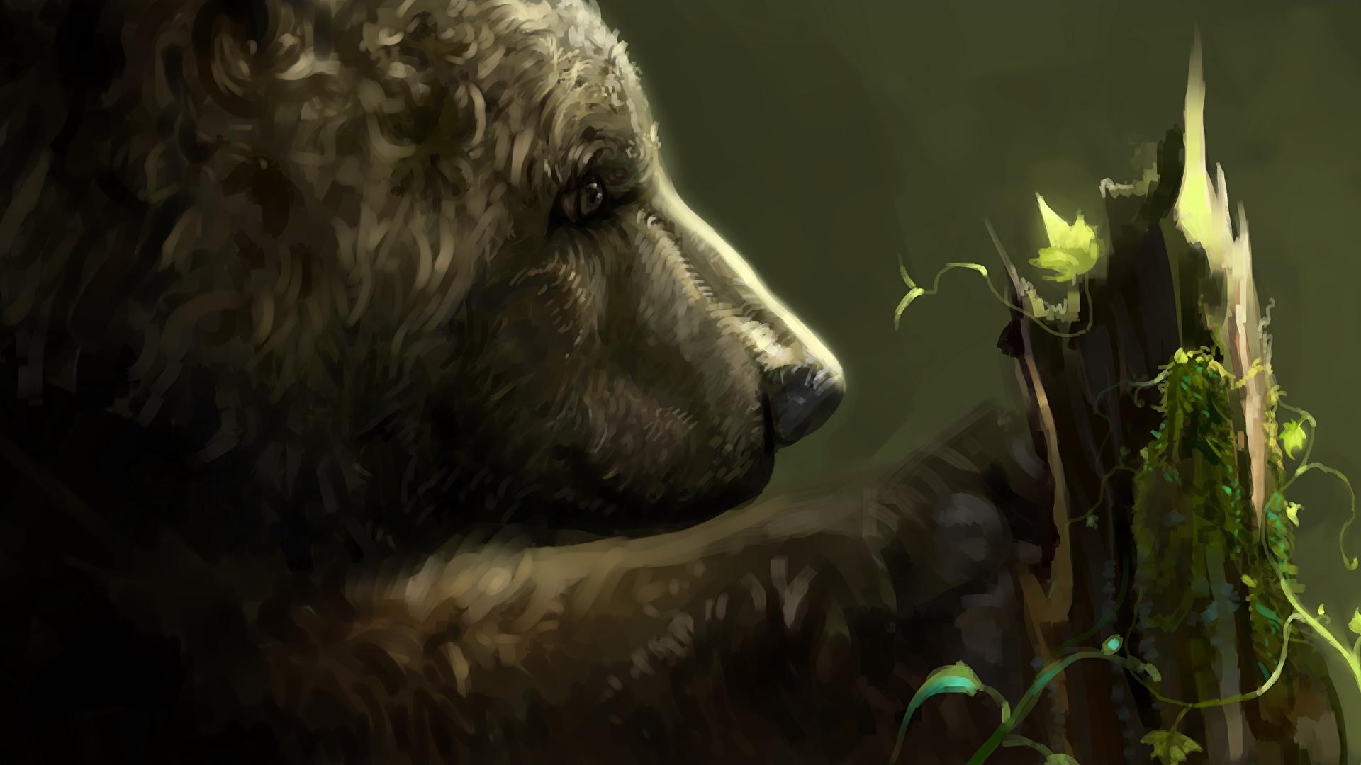 1920x1080 Wallpaper Brown Bears Head Closeup Animals Painting Art 1920x1080