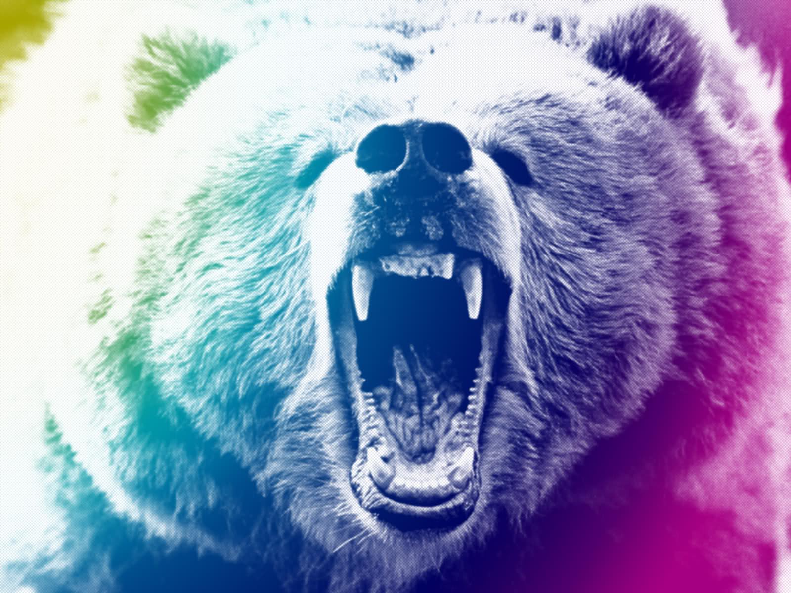 1600x1200 Grizzly Wallpaper