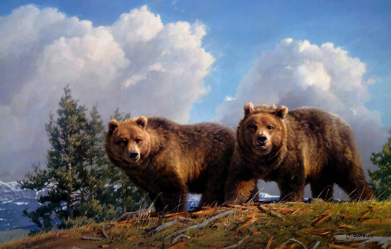 1332x850 Wallpaper the sky, look, clouds, trees, mountains, branches, nature, pose, blue, figure, graphics, picture, bear, bears, hill, art image for desktop, section живопись