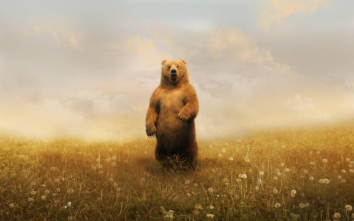1140x713 Free photo of Bear Art Wallpaper Viewing Gallery