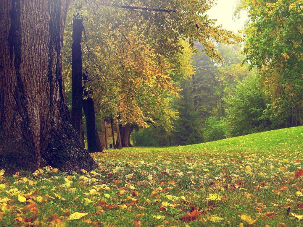 1024x768 WallpaperMISC Splendor France HD Wallpaper 35 X