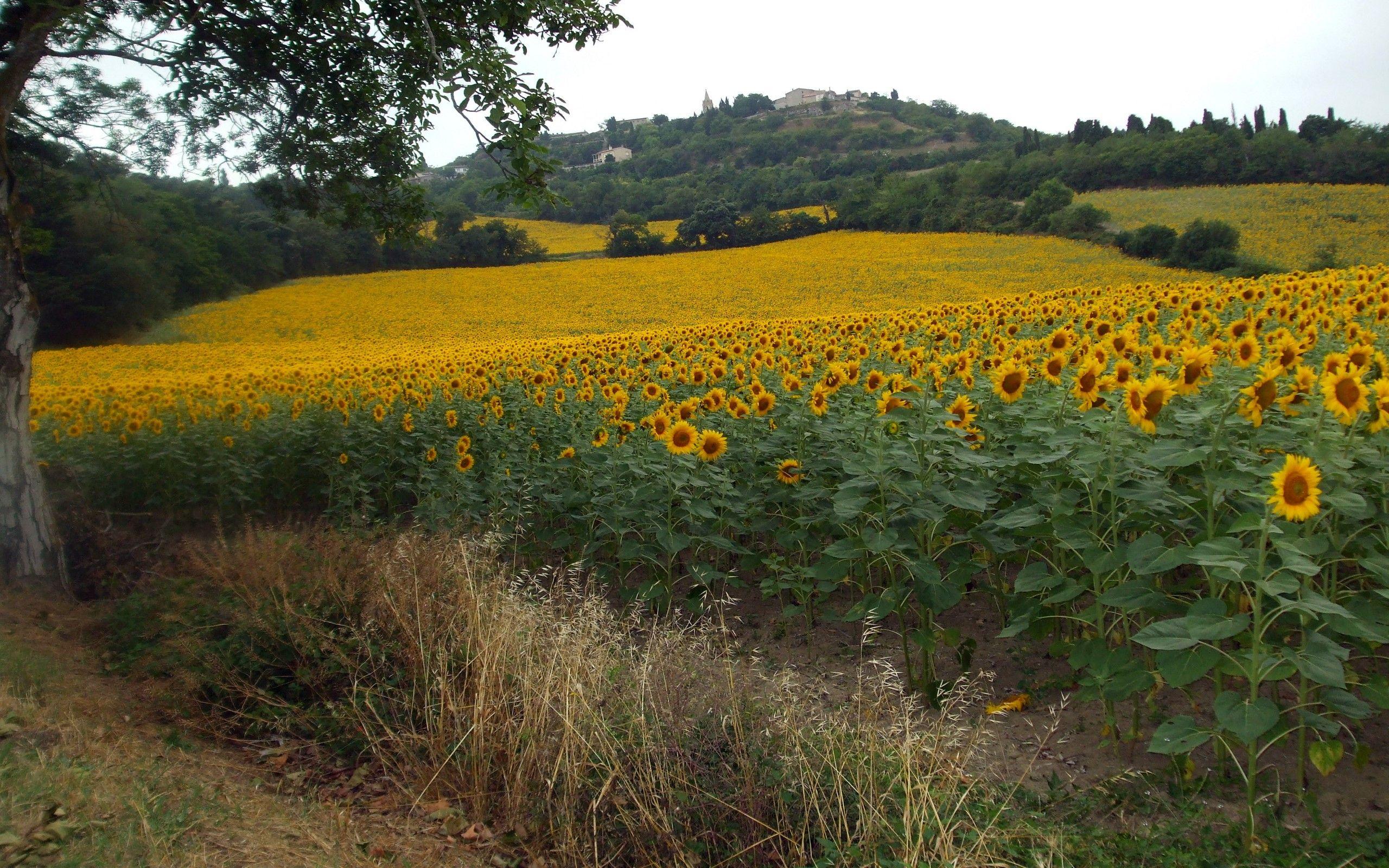 France Countryside Wallpapers - Top Free France Countryside Backgrounds