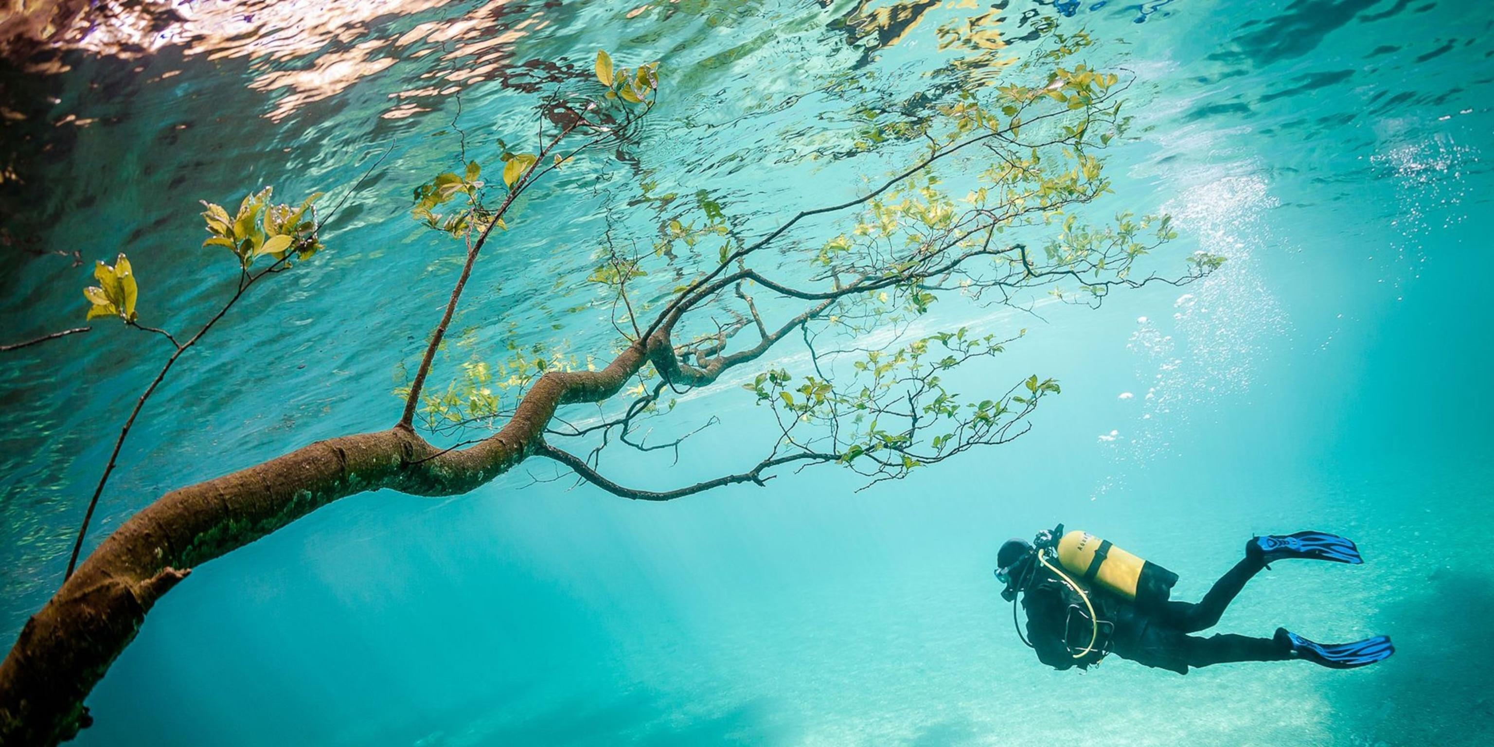 3072x1536 Beautiful Underwater Photo From National Geographic Your Shot