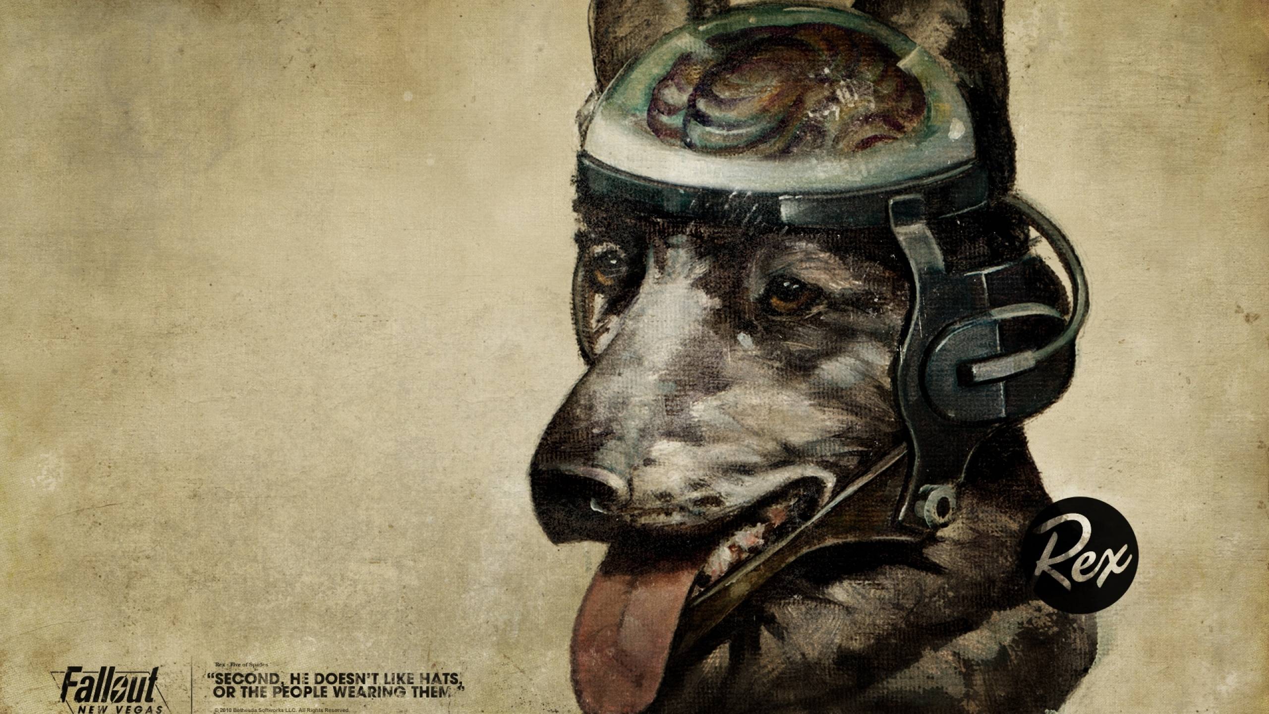 2560x1440 fallout, quote, dog 1440P Resolution Wallpaper, HD Games 4K Wallpaper, Image, Photo and Background