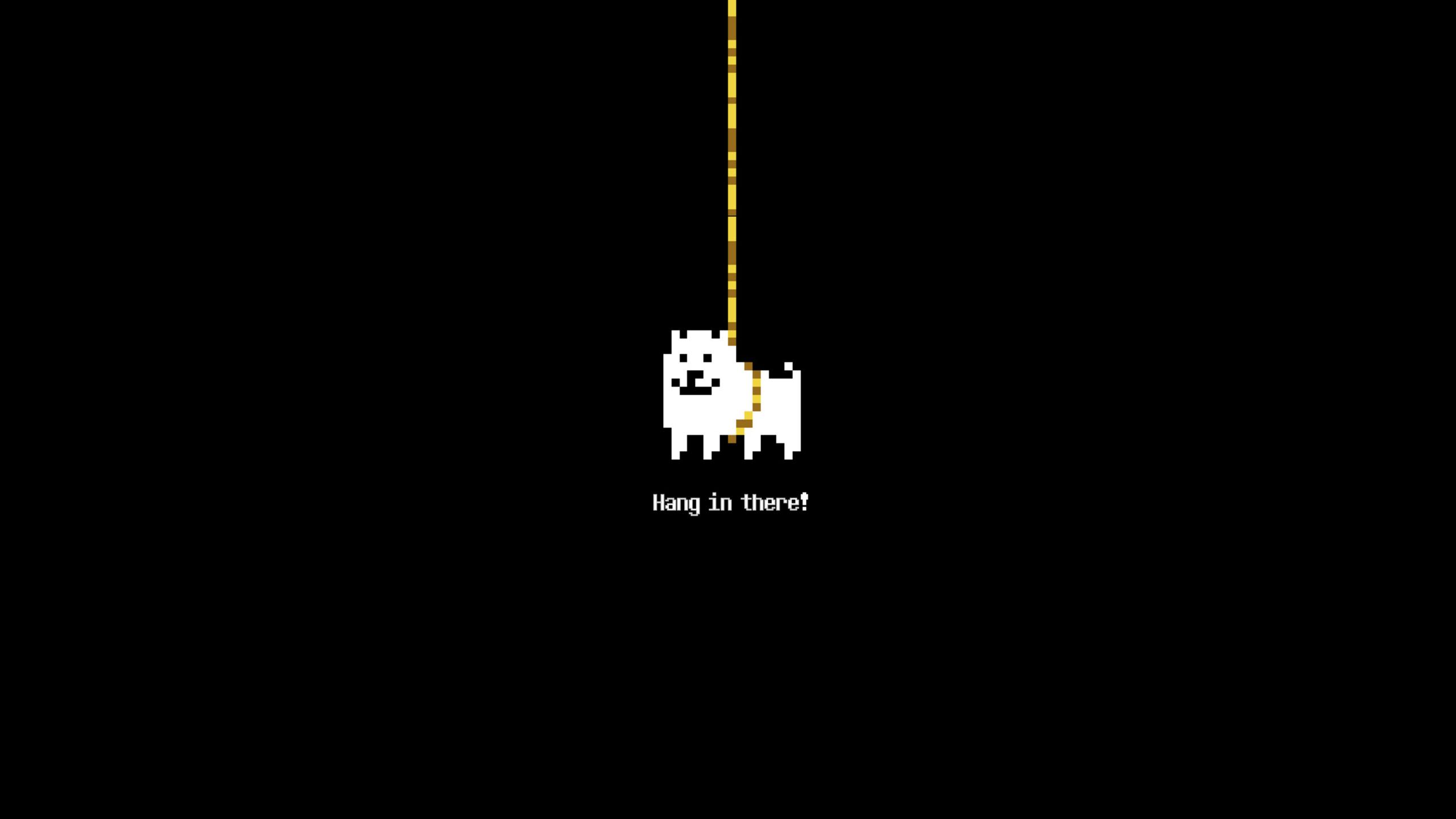 2560x1440 Funny Dog Minimal Art 1440P Resolution HD 4k Wallpaper, Image, Background, Photo and Picture