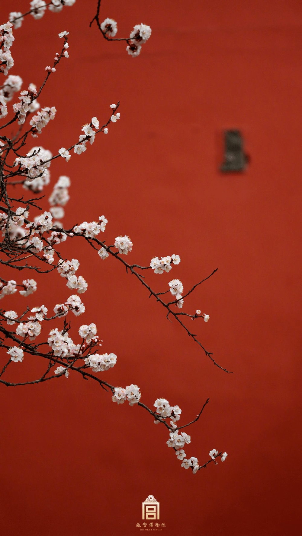 1000x1777 Heaven Gaia on Twitter. Japanese art prints, Art wallpaper, Flower phone wallpaper