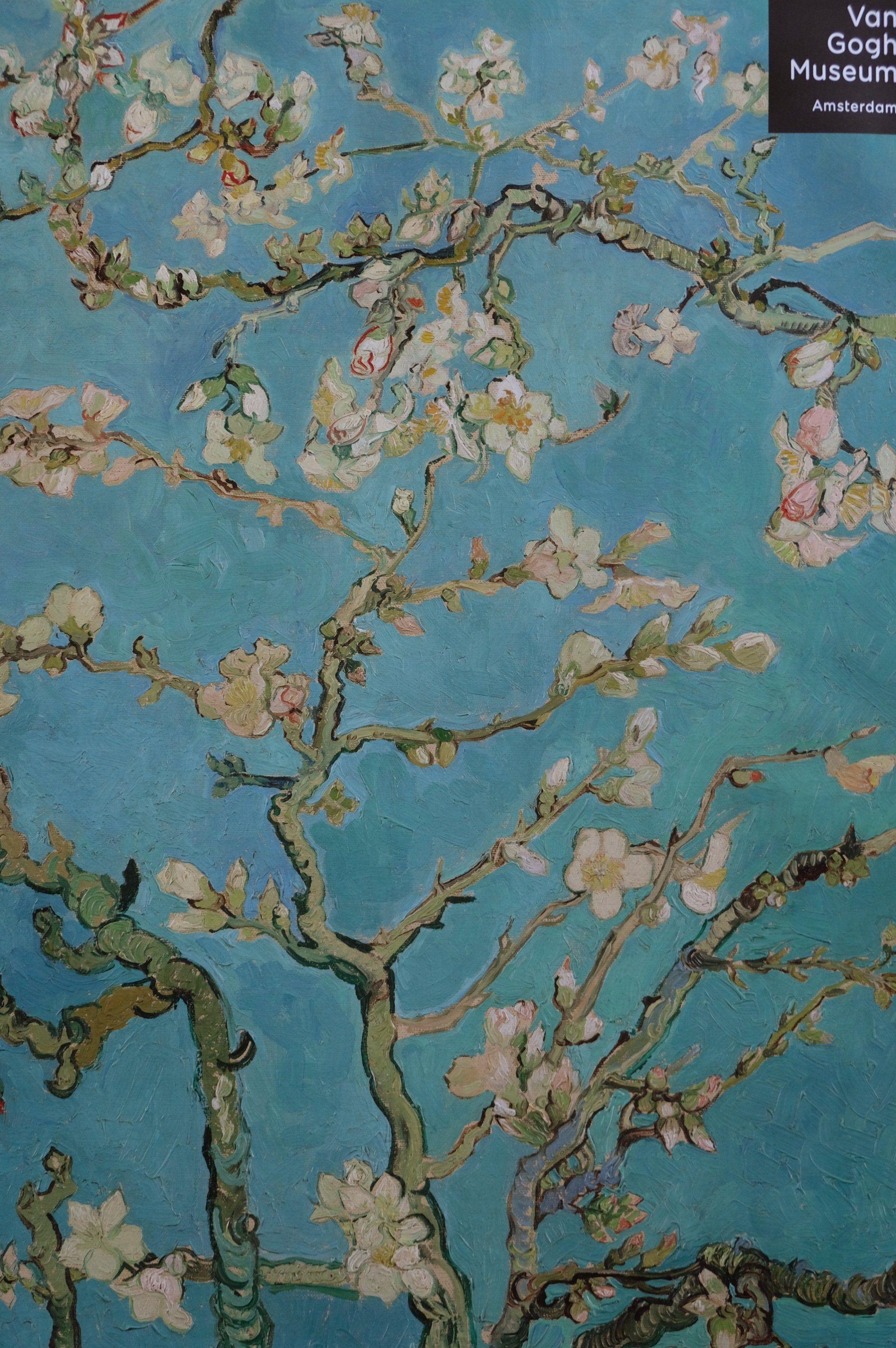 1995x3000 Vincent Van Gogh Van Gogh Museum Amsterdam. Van gogh wallpaper, Van gogh art, Famous art