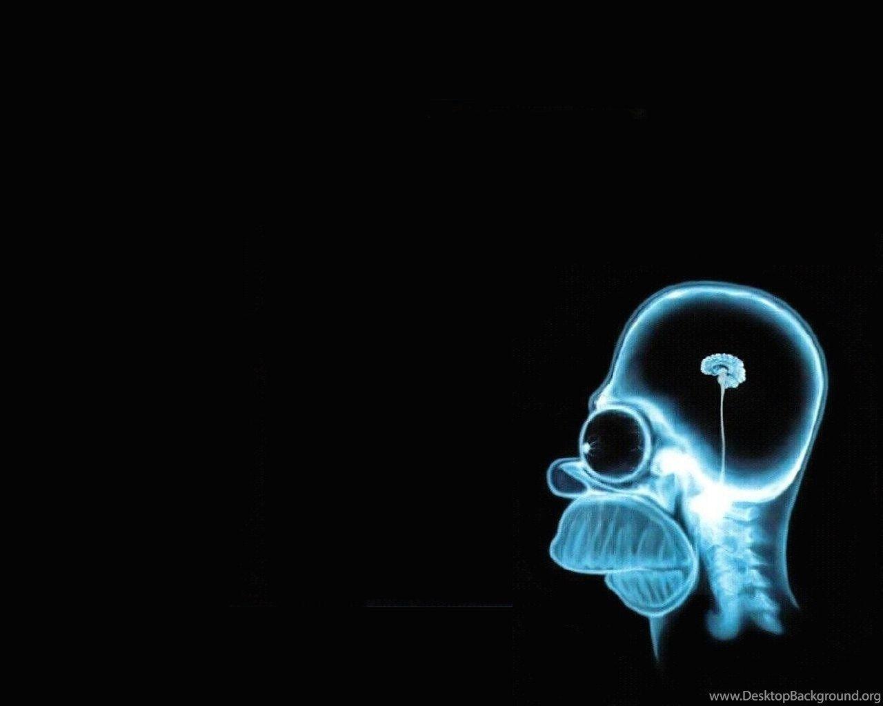 1280x1024 Absurd Wallpaper