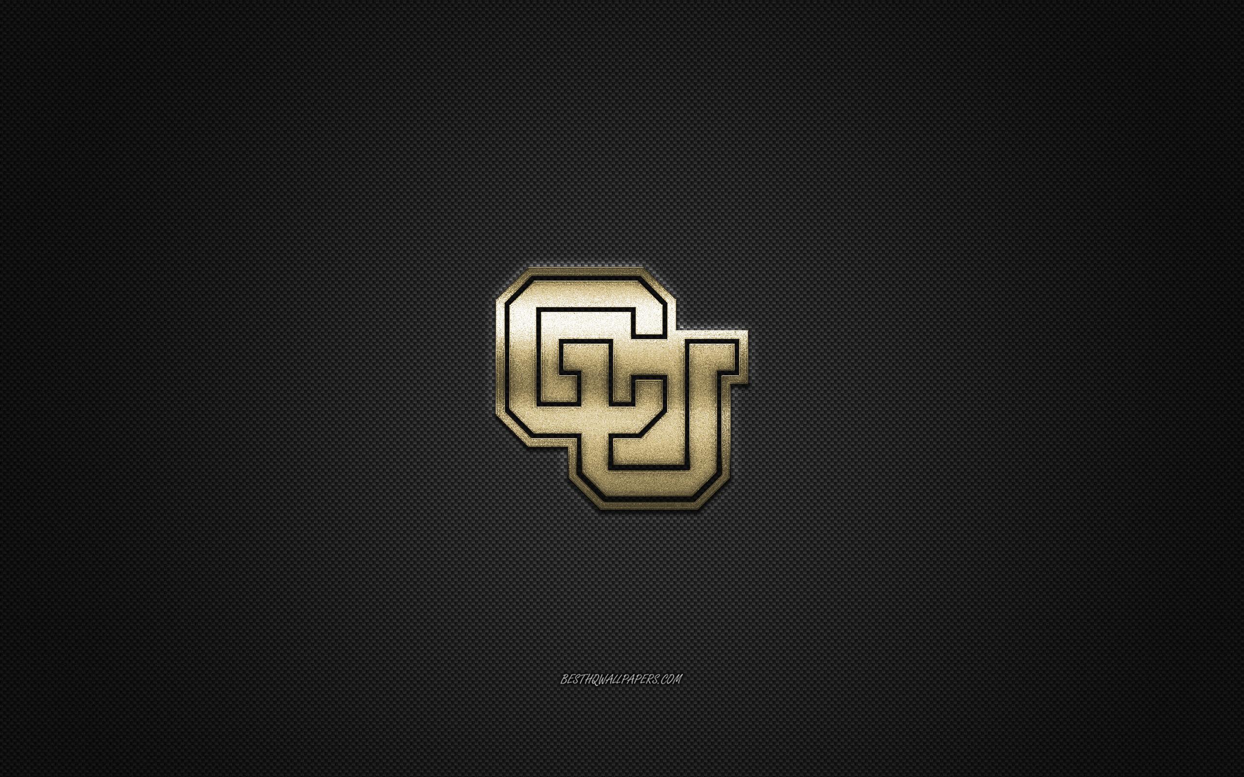 2560x1600 Download wallpaper Colorado Buffaloes logo, American football club, NCAA, golden logo, gray carbon fiber background, American football, Boulder, Colorado, USA, Colorado Buffaloes for desktop with resolution 2560x1600. High Quality HD picture wallpaper