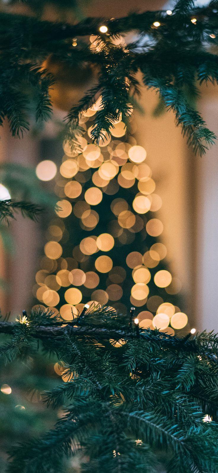 736x1592 Festive Christmas iPhone wallpaper. Wallpaper iphone christmas, Christmas phone wallpaper, Holiday iphone wallpaper