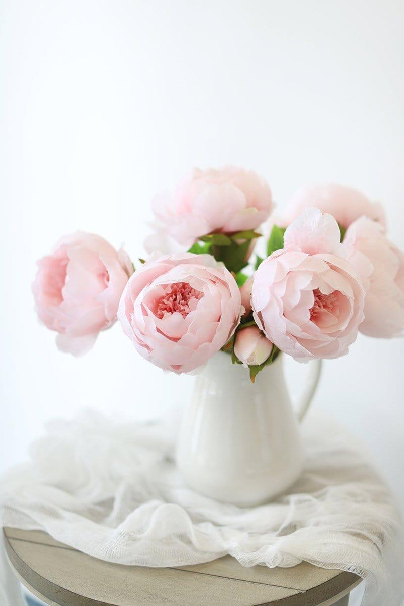 Light Pink Peonies Wallpapers - Top Free Light Pink Peonies Backgrounds ...