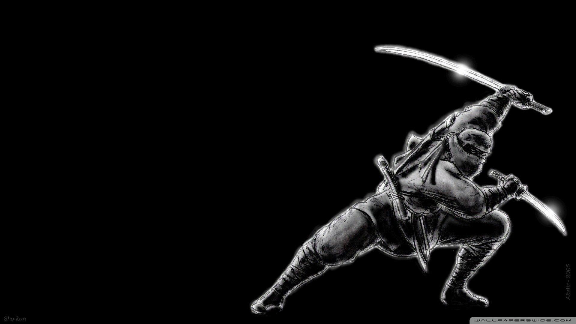 1920x1080 White Dragon Ninja Wallpaper