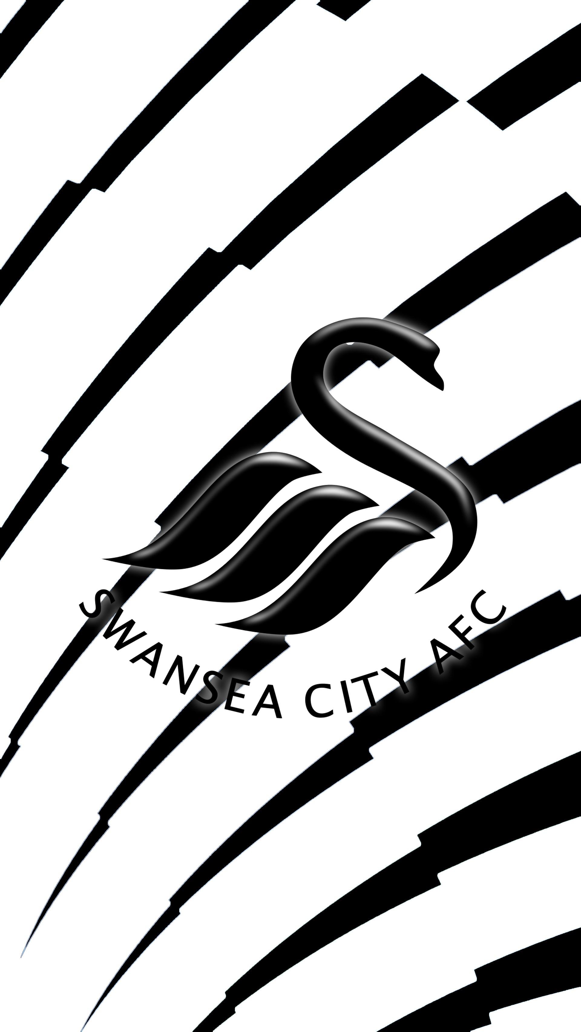 Swansea City Wallpapers Top Free Swansea City Backgrounds